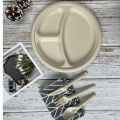 10 '' 3 Compartment Eco-friendly Products Sugarcane Plate